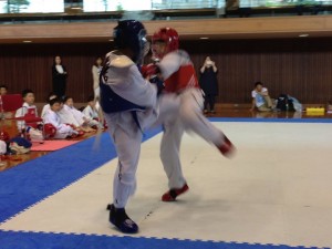 2016-06-06 - Japan Sparring Championships